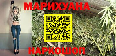 spice Новодвинск