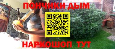 spice Новодвинск