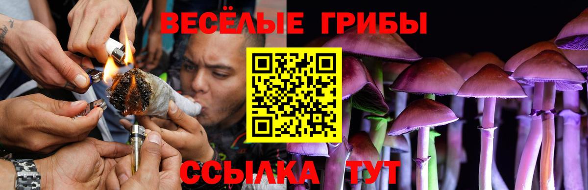 Галлюциногенные грибы мицелий  наркотики  Рязань  Вход с VPN 